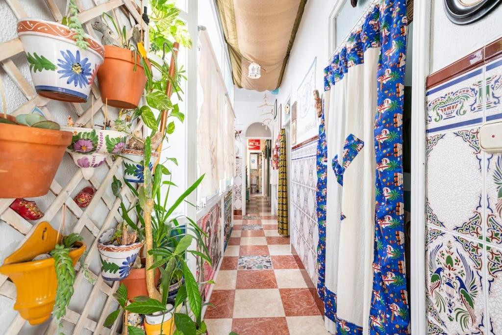 Habitaciones La Pepa Cadiz Dış mekan fotoğraf